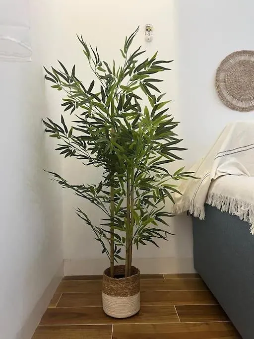 Apartamento 3 Soles Grupo Ac Gestion Cádiz
